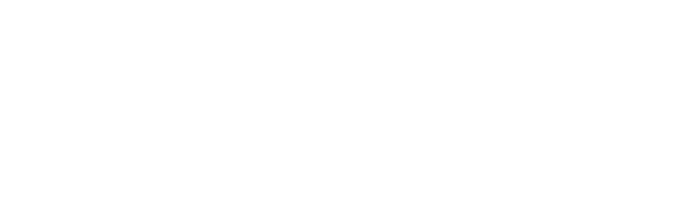 Stabintel Logo